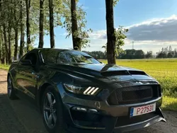 Grau Gebraucht 2016 Ford Mustang | 17.000 € (Superpreis)