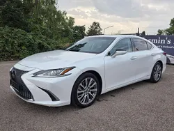 Weiß Gebraucht 2019 Lexus ES300 Executive Line Limousine | 22.990 €