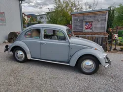Grau Gebraucht 1954 VW Käfer Kleinwagen | 19.350 €