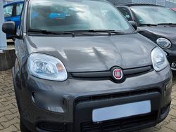 Grau Gebraucht 2023 Fiat Panda Kleinwagen | 11.890 € (Fairer Preis)