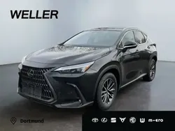 Graphitschwarz metallic Neu 2024 Lexus NX350h SUV | 60.990 € (Etwas zu teuer)