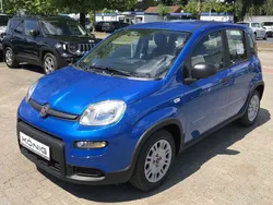 Blau Neu 2024 Fiat Panda Kleinwagen | 14.589 € (Fairer Preis)