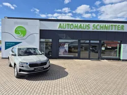 Steelgrau Gebraucht 2024 Skoda Karoq Ambition SUV | 30.900 € (Guter Preis)