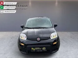 Cinema schwarz Neu 2024 Fiat Panda Kleinwagen | 13.490 € (Guter Preis)
