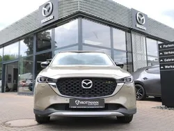 Gelb Gebraucht 2023 Mazda CX-5 Newground SUV | 37.500 € (Etwas zu teuer)