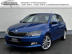 Blau Gebraucht 2018 Skoda Fabia Clever Kleinwagen | 11.990 € (Fairer Preis)