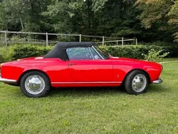 Rot Gebraucht 1963 Alfa Romeo Giulia Cabrio | 55.000 €