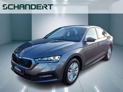 Graphitegrau metallic Gebraucht 2023 Skoda Octavia Ambition Limousine | 24.850 € (Fairer Preis)