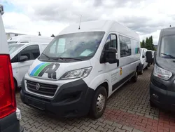 Colore interno (graue stoffsit Gebraucht 2018 Fiat Ducato Van | 15.990 € (Teuer)