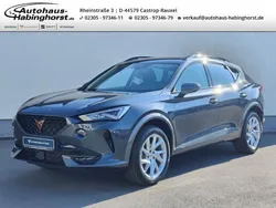 Grau Gebraucht 2023 Cupra Formentor SUV | 27.690 € (Fairer Preis)