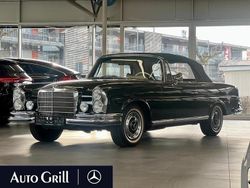 Dunkelolivgrün Gebraucht 1970 Mercedes 280 SE Cabrio | 285.000 €