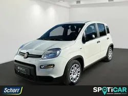Cinema schwarz Gebraucht 2024 Fiat Panda Kleinwagen | 14.995 € (Fairer Preis)