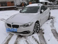 Weiß Gebraucht 2016 BMW 420 Gran Coupé Luxury Line Coupé | 18.200 € (Guter Preis)