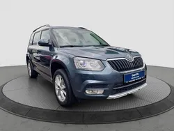 Grau Gebraucht 2016 Skoda Yeti Joy SUV | 16.900 € (Etwas zu teuer)