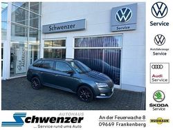 Grau Gebraucht 2020 Skoda Fabia Style Kombi | 14.979 € (Etwas zu teuer)
