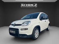 Andere Gebraucht 2024 Fiat Panda Kleinwagen | 16.900 € (Teuer)