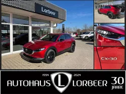 Neu 2025 Mazda CX-30 Homura-Line SUV | 26.990 €