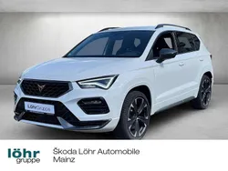 "bila" weiss Gebraucht 2023 Cupra Ateca SUV | 33.720 € (Guter Preis)