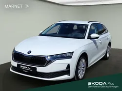 Weiß Gebraucht 2024 Skoda Octavia Selection Kombi | 27.990 € (Guter Preis)