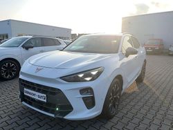 Weiß Gebraucht 2025 Cupra Terramar SUV | 32.450 € (Guter Preis)