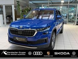 Blau Gebraucht 2022 Skoda Kodiaq Tour SUV | 32.990 € (Guter Preis)