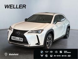 Andere Gebraucht 2021 Lexus UX SUV | 24.990 € (Fairer Preis)