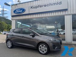 Metallic) (grau Gebraucht 2023 Ford Fiesta Titanium X Kleinwagen | 19.990 € (Fairer Preis)