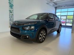 Metallic Gebraucht 2019 Citroën C4 Cactus PureTech Kleinwagen | 15.400 € (Teuer)