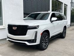 Weiss Gebraucht 2023 Cadillac Escalade SUV | 114.900 €