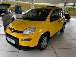 Sole gelb Gebraucht 2024 Fiat Panda Kleinwagen | 14.890 € (Fairer Preis)