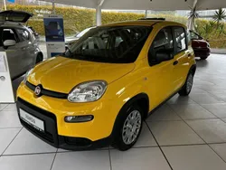 Sole gelb Neu 2024 Fiat Panda Kleinwagen | 14.890 €