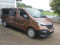Kupferbraun Gebraucht 2020 Renault Trafic Life Van | 25.900 € (Teuer)