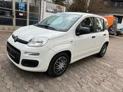 Weiß Gebraucht 2015 Fiat Panda Lounge Kleinwagen | 6.000 € (Guter Preis)
