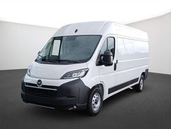Cassablanca weiss Gebraucht 2024 Opel Movano Van | 26.882 €