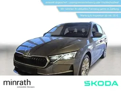 Grau Gebraucht 2024 Skoda Octavia Selection Kombi | 34.789 € (Fairer Preis)
