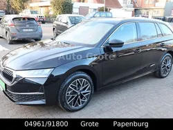 Schwarz Neu 2024 Skoda Octavia Limousine | 33.990 € (Fairer Preis)
