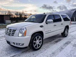Weiß Gebraucht 2007 Cadillac Escalade SUV | 11.900 €
