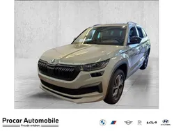 Grau Gebraucht 2024 Skoda Kodiaq SportLine SUV | 39.990 € (Fairer Preis)