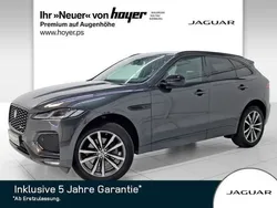 Grau Gebraucht 2024 Jaguar F-Pace R-Dynamic SUV | 45.480 € (Guter Preis)