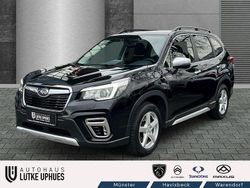 Schwarz Gebraucht 2020 Subaru Forester Active SUV | 22.490 € (Fairer Preis)