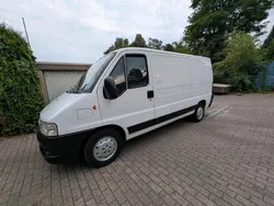 Weiß Gebraucht 2005 Fiat Ducato Van | 4.000 € (Etwas zu teuer)