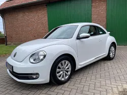 Weiß Gebraucht 2014 VW Beetle Coupé | 11.999 € (Etwas zu teuer)