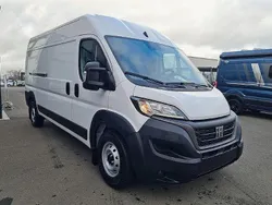 Weiss Neu 2024 Fiat Ducato Van | 36.149 € (Etwas zu teuer)