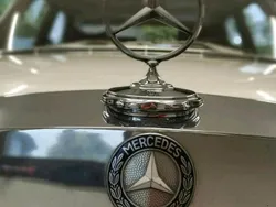 Beige Gebraucht 1966 Mercedes 250 SE Limousine | 24.500 €