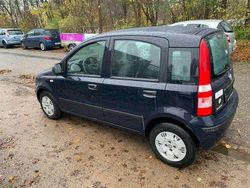 Blau Gebraucht 2010 Fiat Panda Kombi | 1.999 € (Fairer Preis)