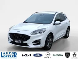 Weiß Gebraucht 2020 Ford Kuga ST-Line X SUV | 21.605 € (Fairer Preis)