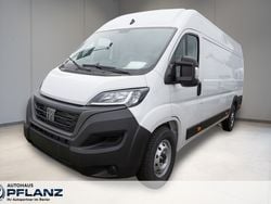 Weiss Neu 2024 Fiat Ducato Van | 30.450 € (Guter Preis)