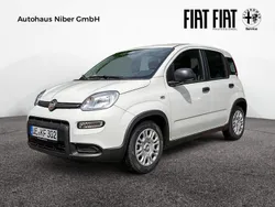 Weiß Neu 2025 Fiat Panda Cross Cross Kleinwagen | 16.877 €