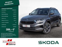 Graphitgrau Neu 2025 Skoda Karoq Selection SUV | 37.980 € (Etwas zu teuer)