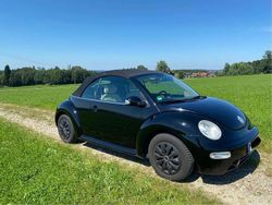 Gebraucht 2004 VW Beetle Cabrio | 3.200 € (Fairer Preis)